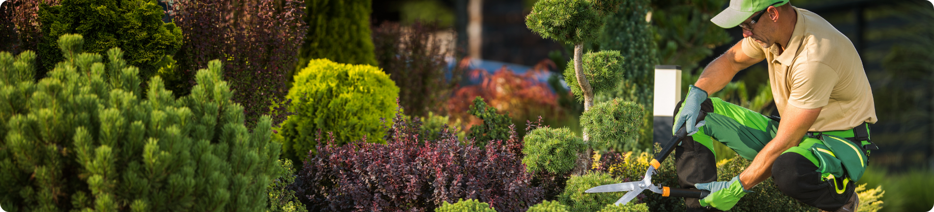 Exterior Maintenance